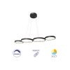 CORP DECORATIV LED 60W 3in1-Telecomanda-DIM PD1-RND NELA NEGRU - Instadepot
