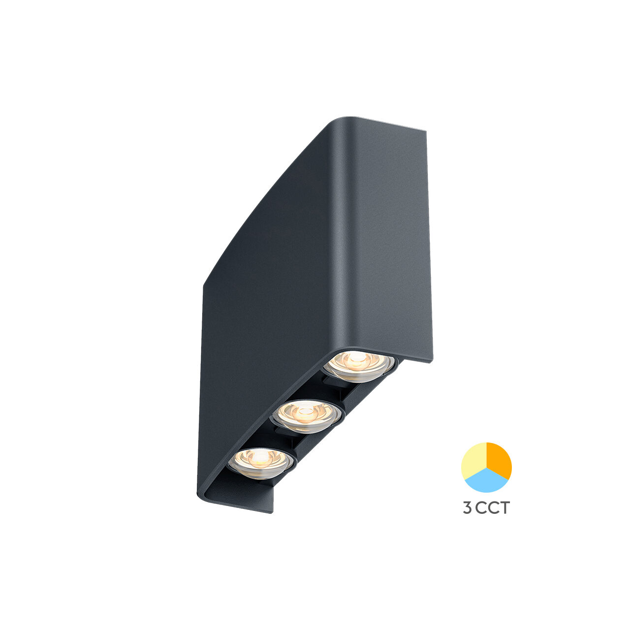 CORP LED PT