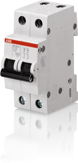 Intrerupator Automat 25A 2P C 4.5Ka - Instadepot