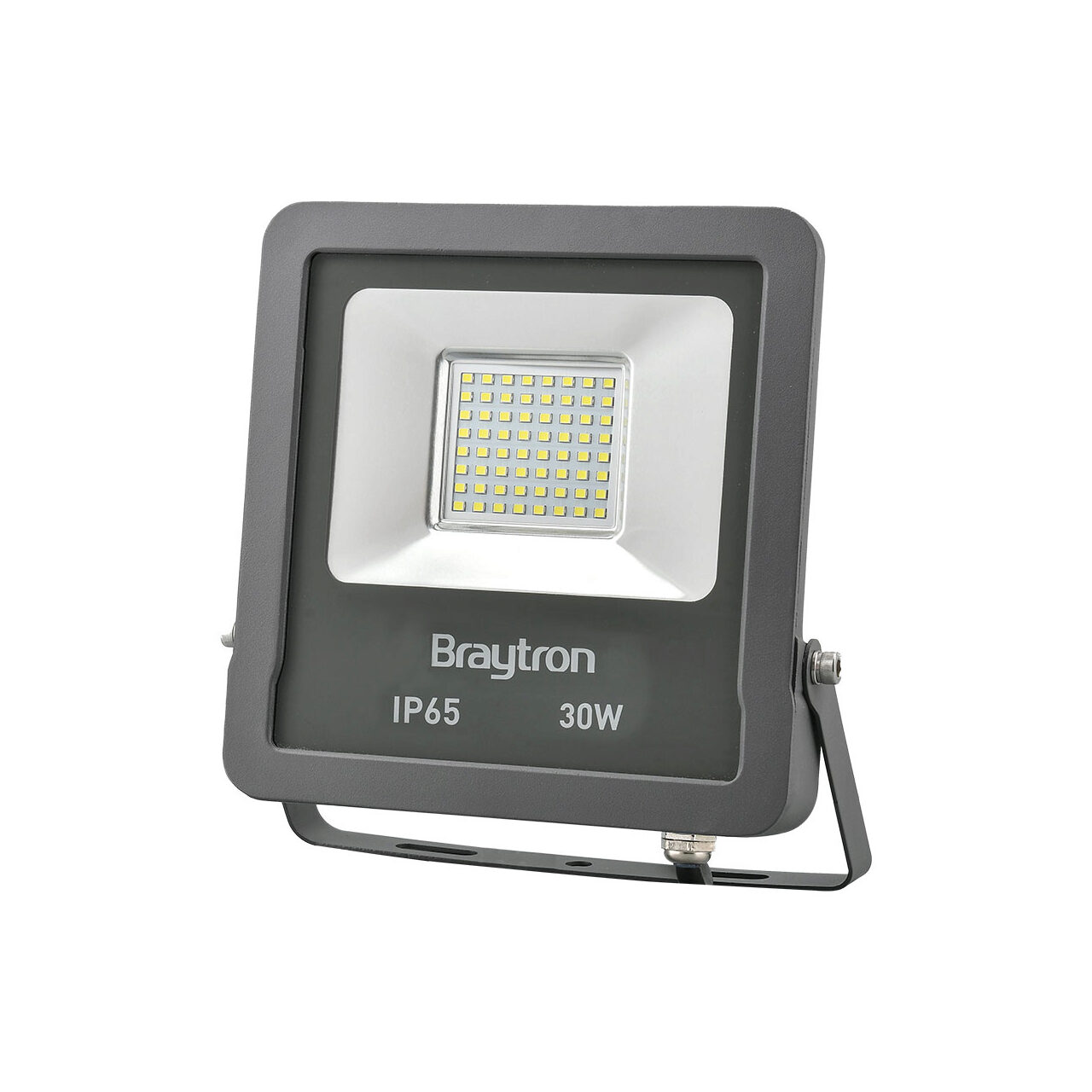 PROIECTOR LED 30W SMD 2400LM 6500K IP65