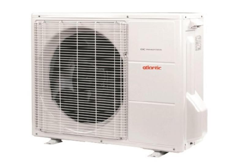 Alfea Extensa DUO