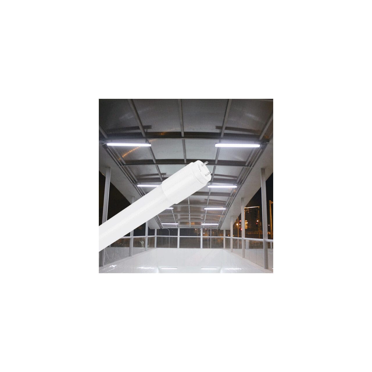 TUB LED 1500MM 24W 2440LM 6500K T8 ALB ALIM 1CAP - imagine 2