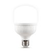 Bec LED 30W E27 6500K - Instadepot