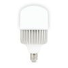 Bec LED 80W E40 6500K
